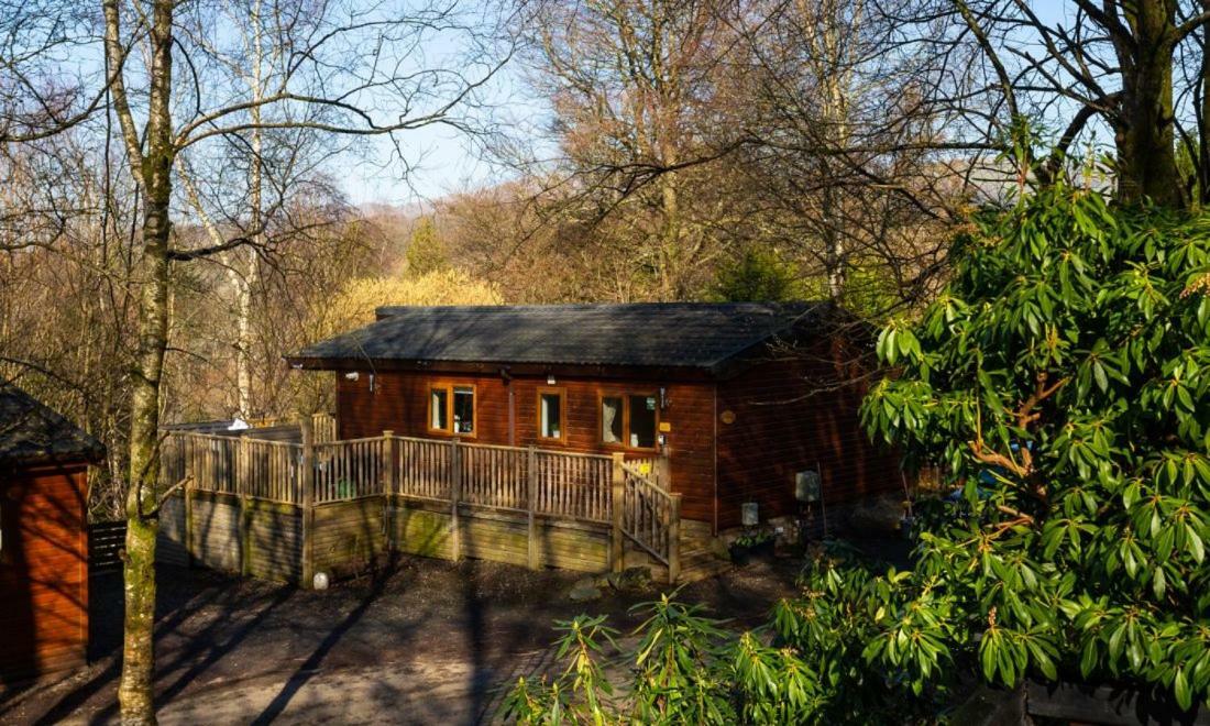 Owls House, White Cross Bay, Ambleside, Windermere Exterior foto